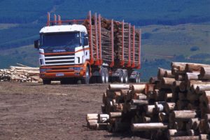 1995, Scania, R144g, 460, 6x4, Timber, Truck, Za spec, Semi, Tractor