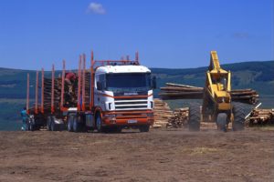1995, Scania, R144g, 460, 6×4, Timber, Truck, Za spec, Semi, Tractor