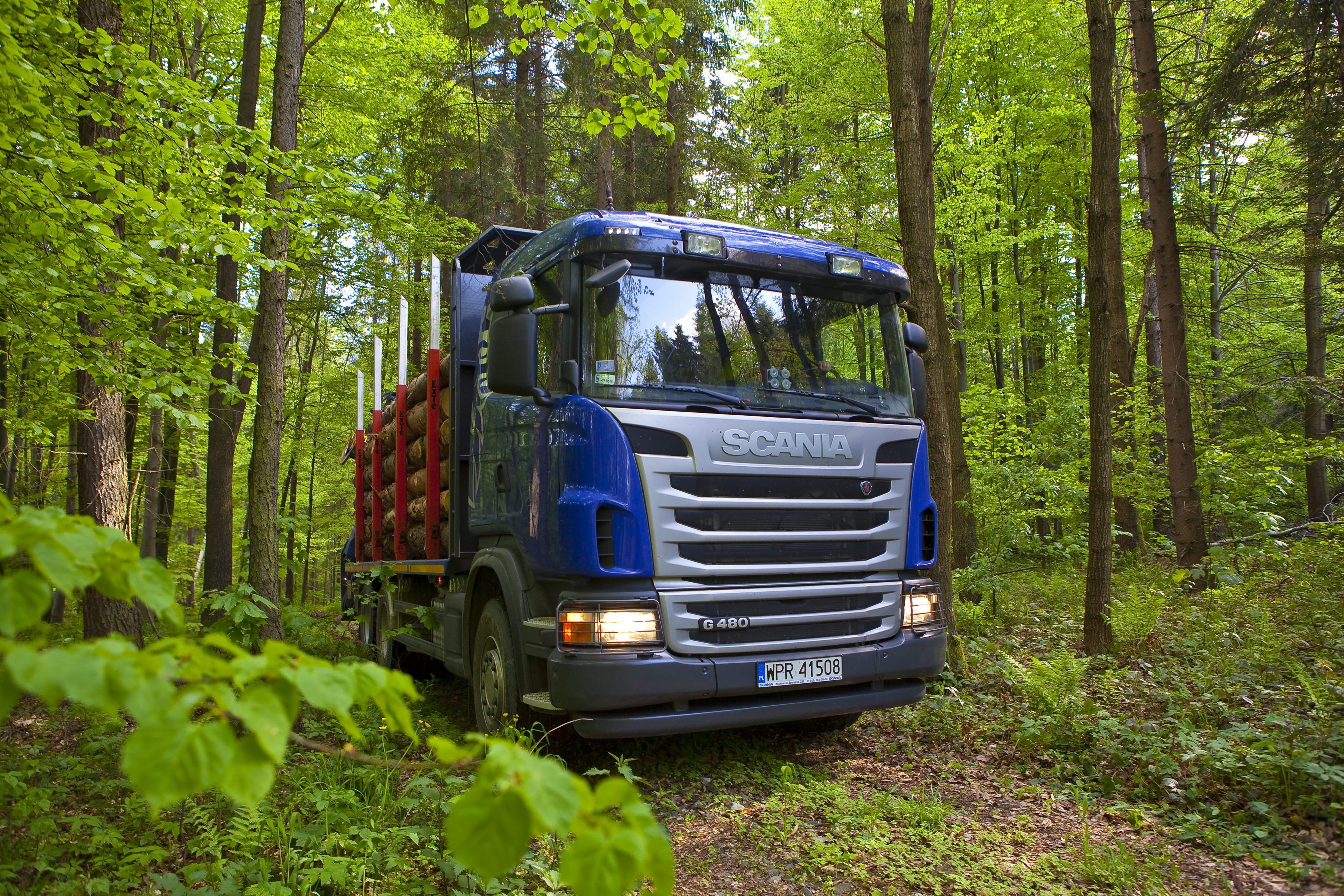 2010, Scania, G480, 6x4, Timber, Truck, Semi, Tractor Wallpaper