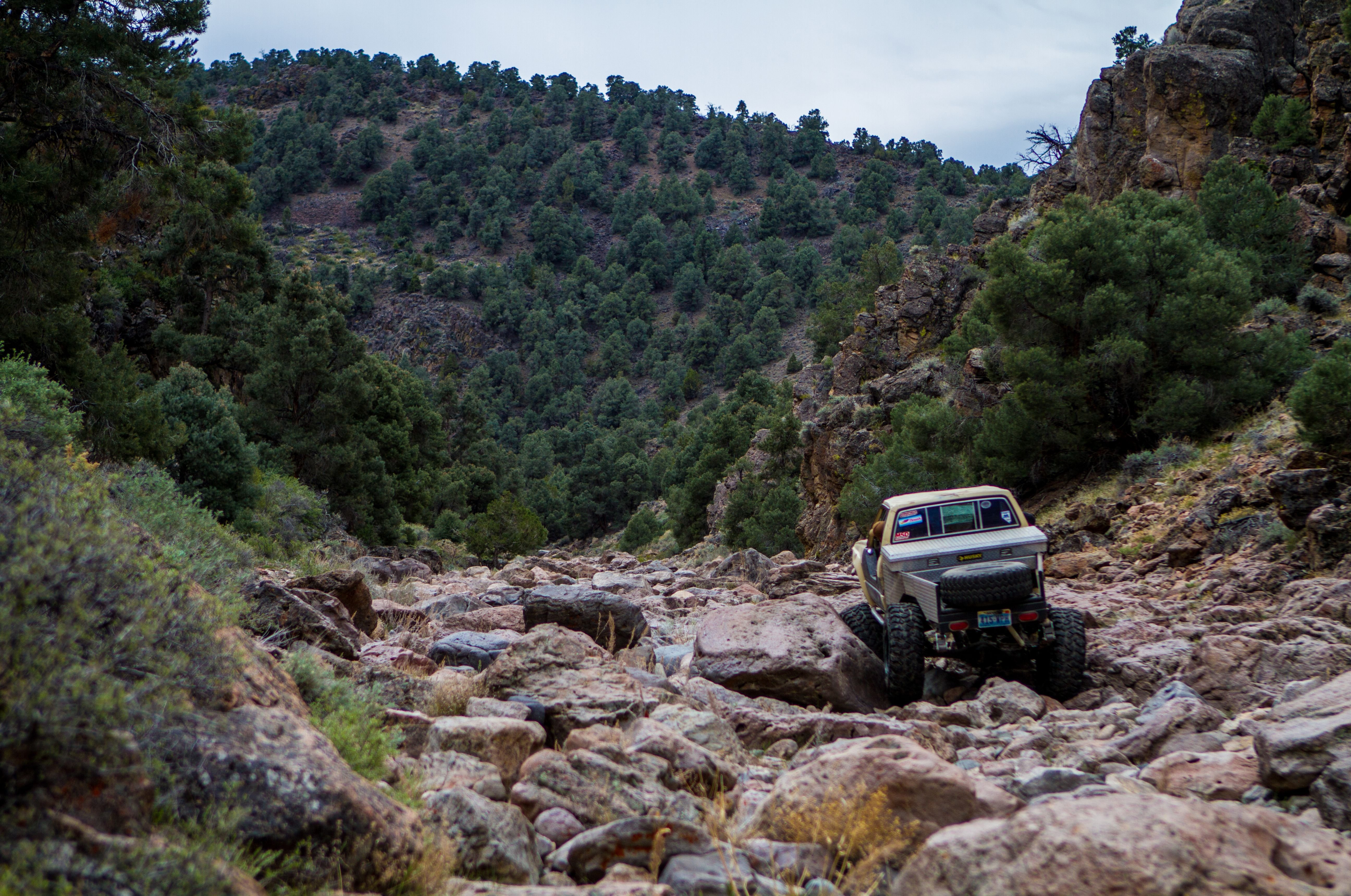 offroad, 4x4, Custom, Truck Wallpaper