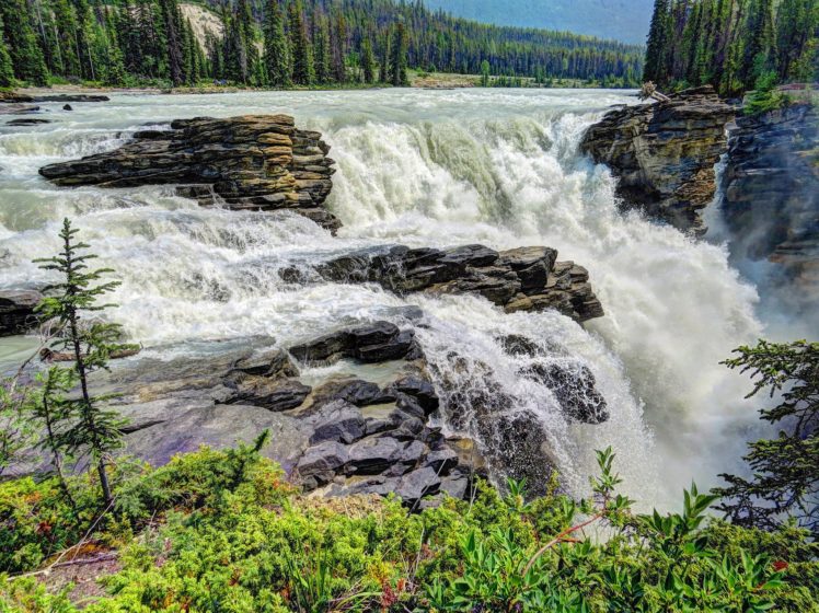 usa, Waterfall, Forest, Parks, Crag, Athabasca, Falls, Jasper, Nature HD Wallpaper Desktop Background