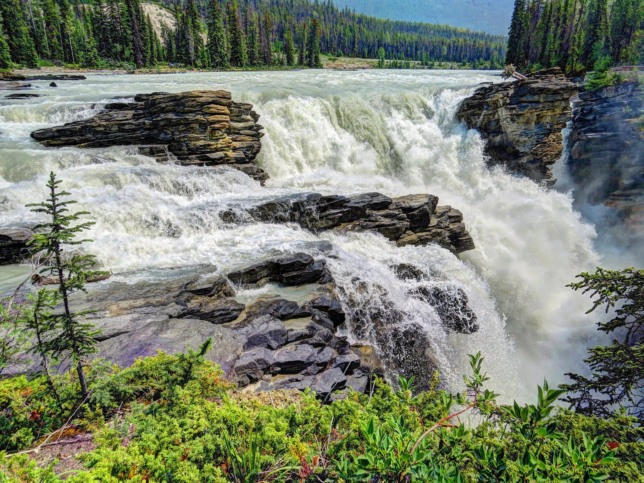 usa, Waterfall, Forest, Parks, Crag, Athabasca, Falls, Jasper, Nature Wallpaper
