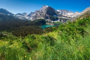 usa, Parks, Mountains, Lake, Forests, Scenery, Grass, Grinnell, Lake, Glacier, Nature