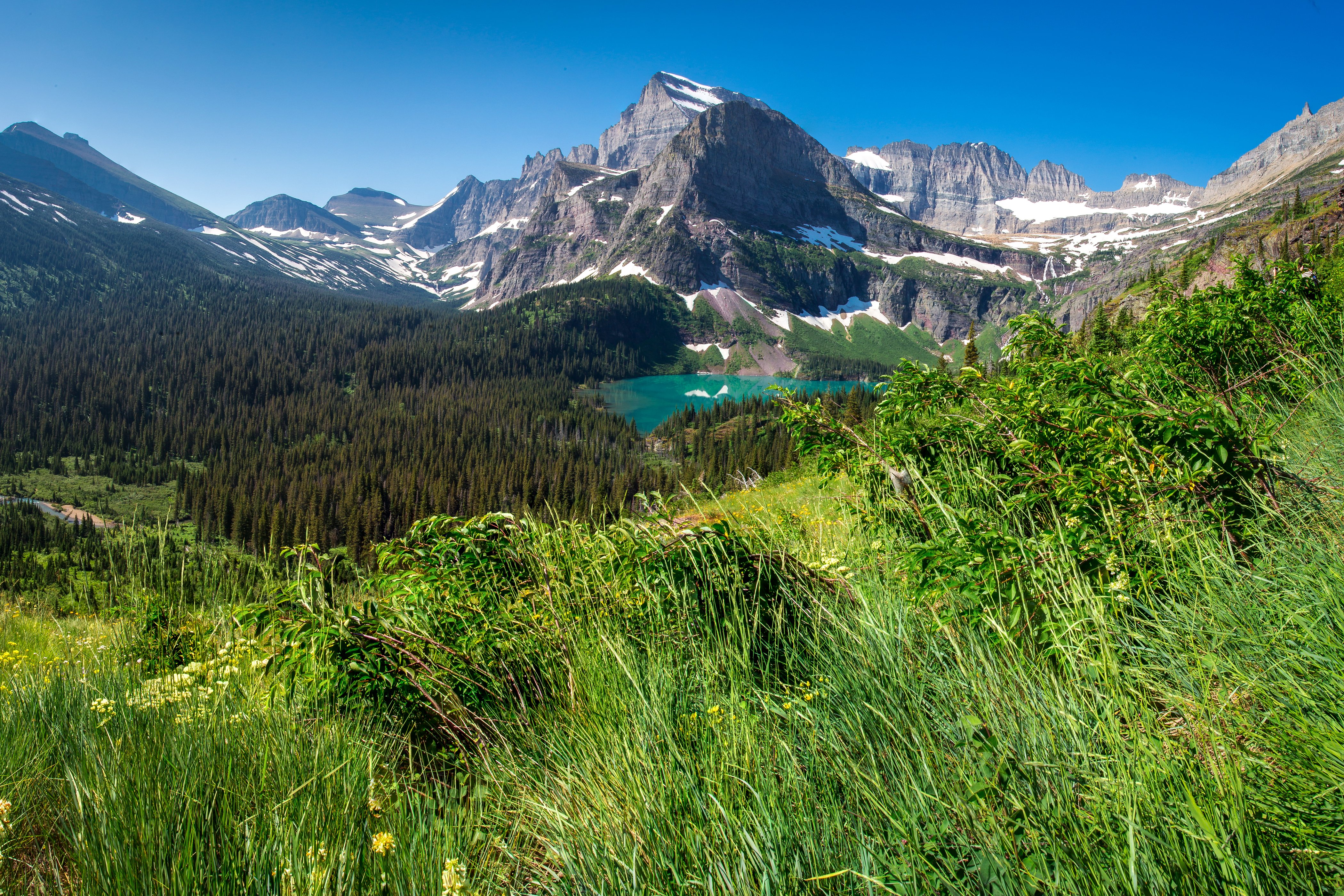 usa, Parks, Mountains, Lake, Forests, Scenery, Grass, Grinnell, Lake, Glacier, Nature Wallpaper