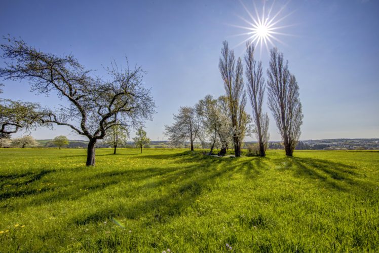 germany, Grasslands, Sky, Grass, Trees, Sun, Beltheim, Nature HD Wallpaper Desktop Background