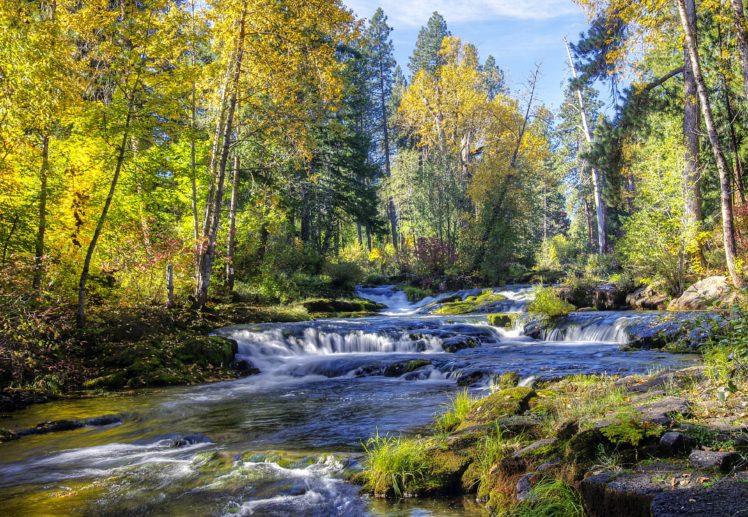 rivers, Waterfalls, Forests, Trees, Nature HD Wallpaper Desktop Background