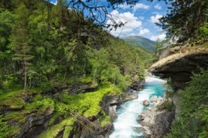 norway, Rivers, Forests, Crag, Trees, Carving, A, Canyon, Slettafossen, Nature