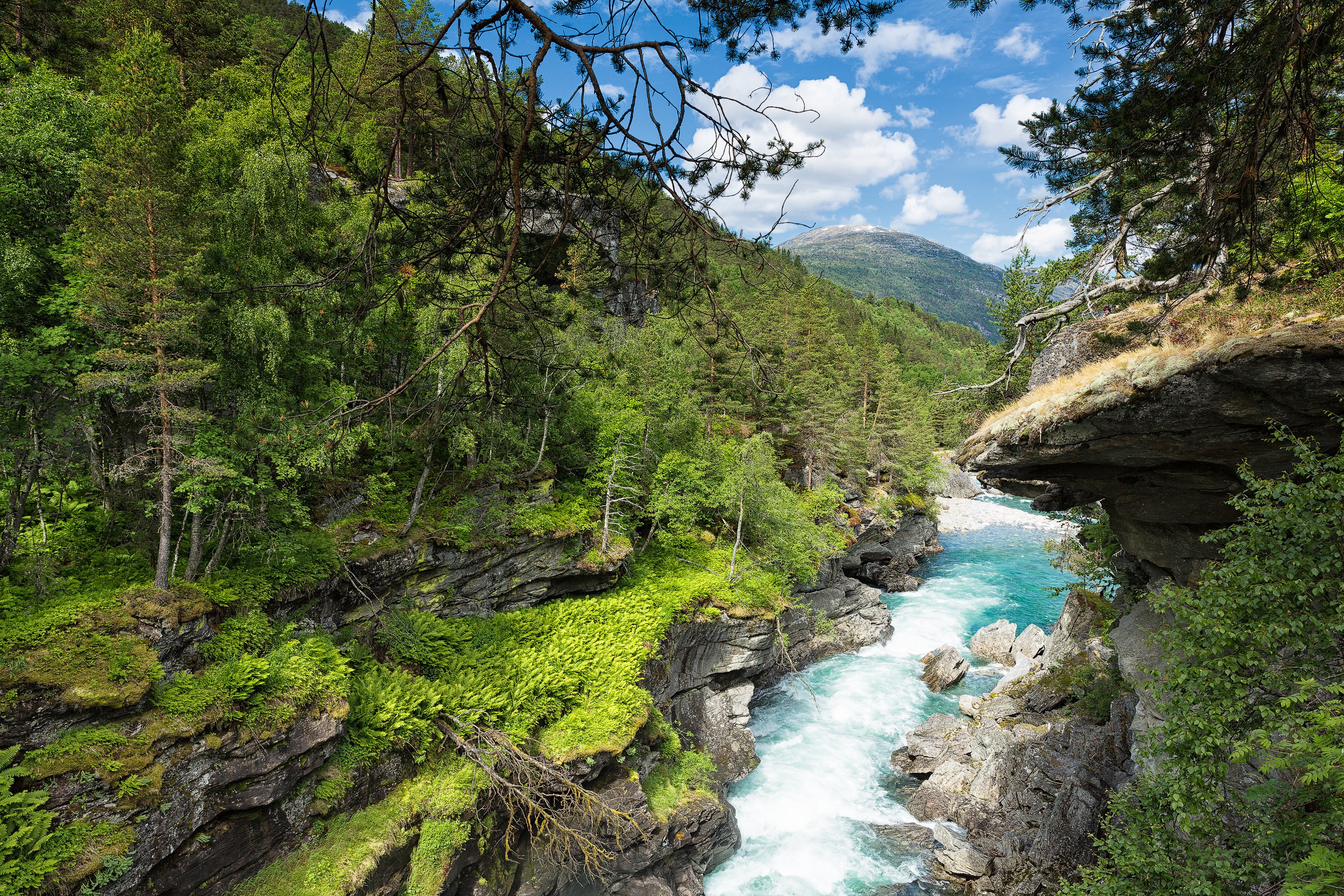 norway, Rivers, Forests, Crag, Trees, Carving, A, Canyon, Slettafossen, Nature Wallpaper