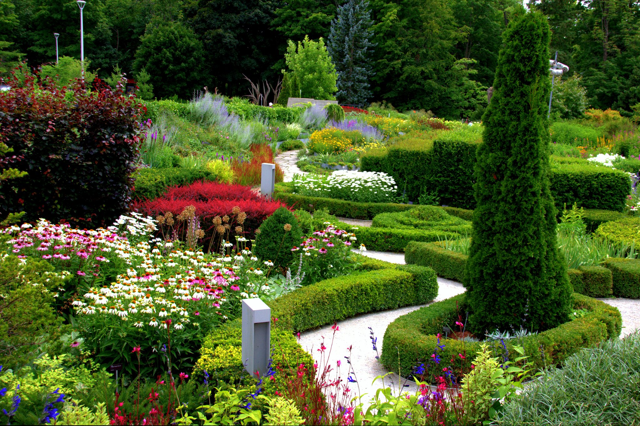 usa, Gardens, Echinacea, Purpurea, Shrubs, Trees, Toronto, Botanical, Garden, Ontario, Nature Wallpaper