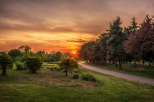 canada, Sunrises, And, Sunsets, Roads, Trees, Grass, St, Catharines, Ontario, Nature
