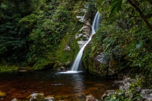 new, Zealand, Waterfalls, Moss, Hokitika, Nature