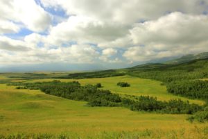 canada, Grasslands, Sky, Clouds, Alberta, Nature