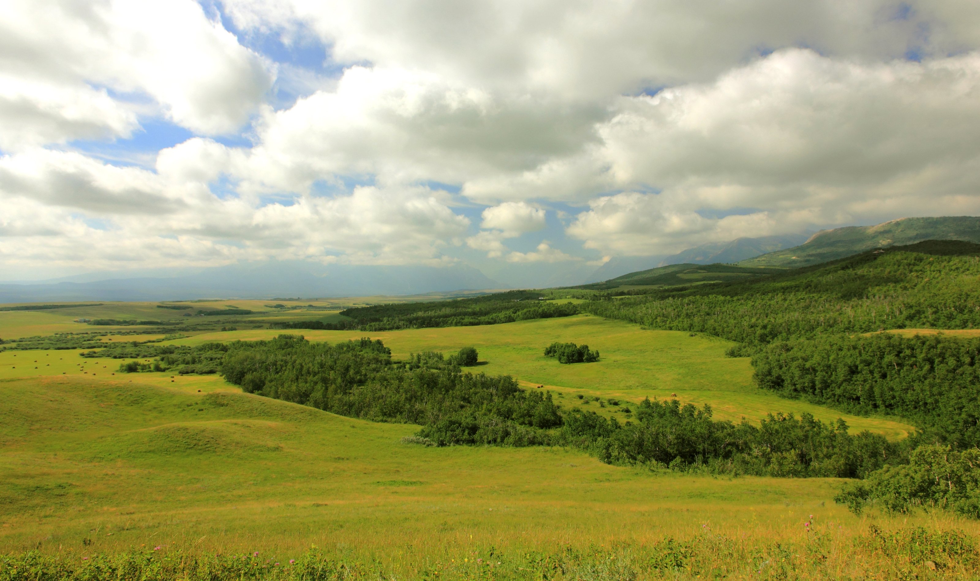 Canada Grasslands Sky Clouds Alberta Nature Wallpapers Hd Desktop And Mobile Backgrounds 6087