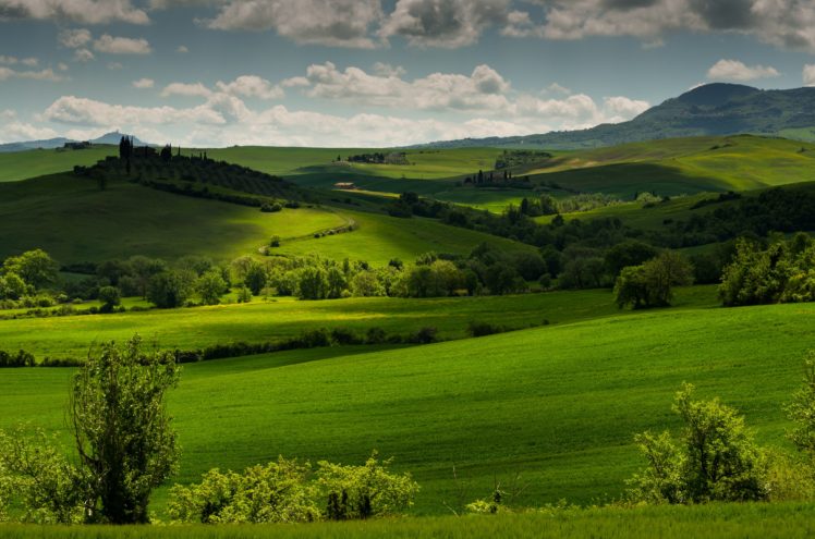 italy, Scenery, Fields, Grasslands, Tuscany, Nature HD Wallpaper Desktop Background