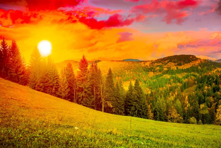 ukraine, Scenery, Sunrises, And, Sunsets, Mountains, Carpathians, Fir, Sun, Grass, Nature HD Wallpaper Desktop Background