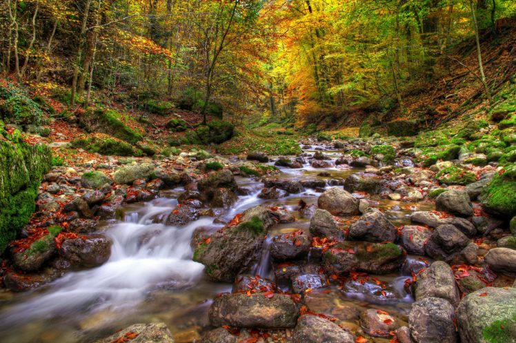 forests, Stones, Autumn, Stream, Nature HD Wallpaper Desktop Background