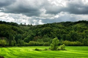 italy, Forests, Grasslands, Clouds, Trees, Lugagnano, Val, Dand039arda, Nature