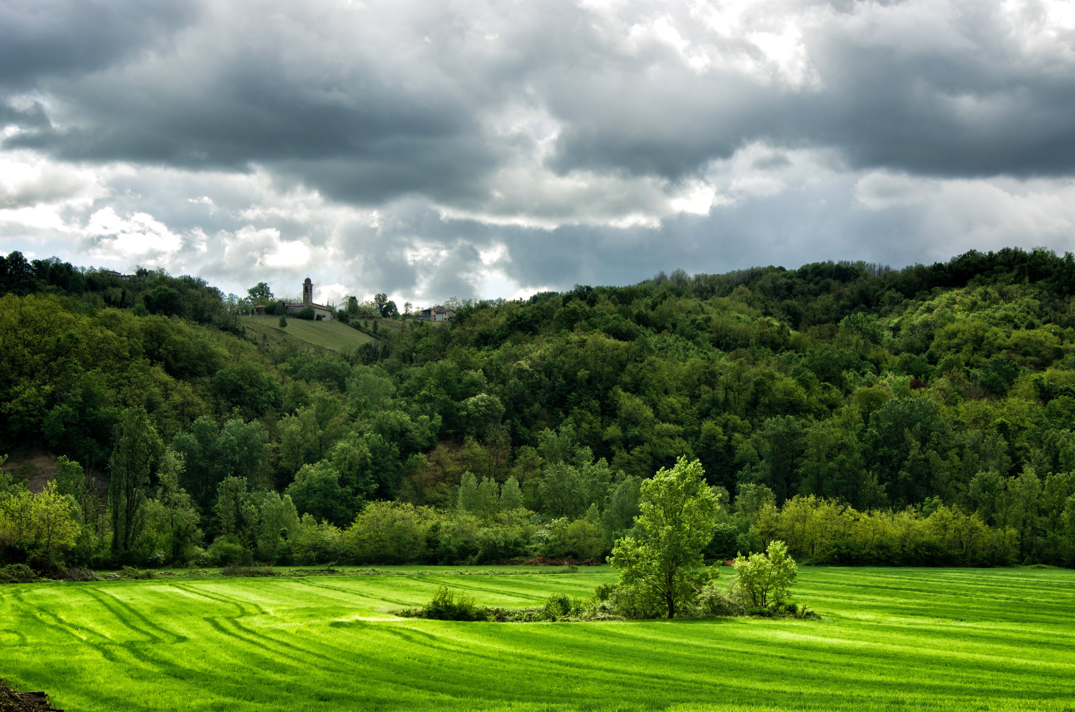 italy, Forests, Grasslands, Clouds, Trees, Lugagnano, Val, Dand039arda, Nature Wallpaper