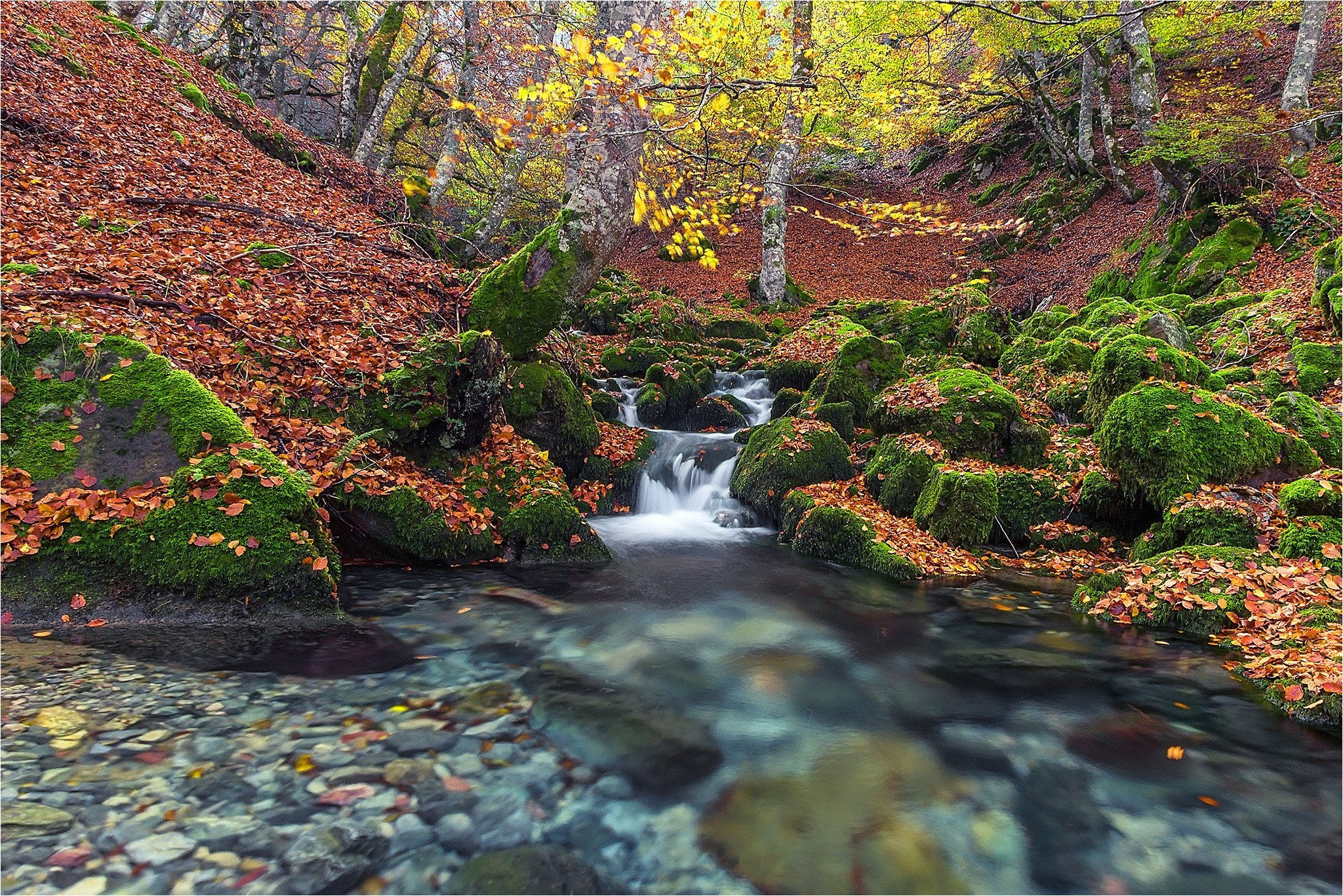stones, Autumn, Stream, Moss, Nature Wallpaper