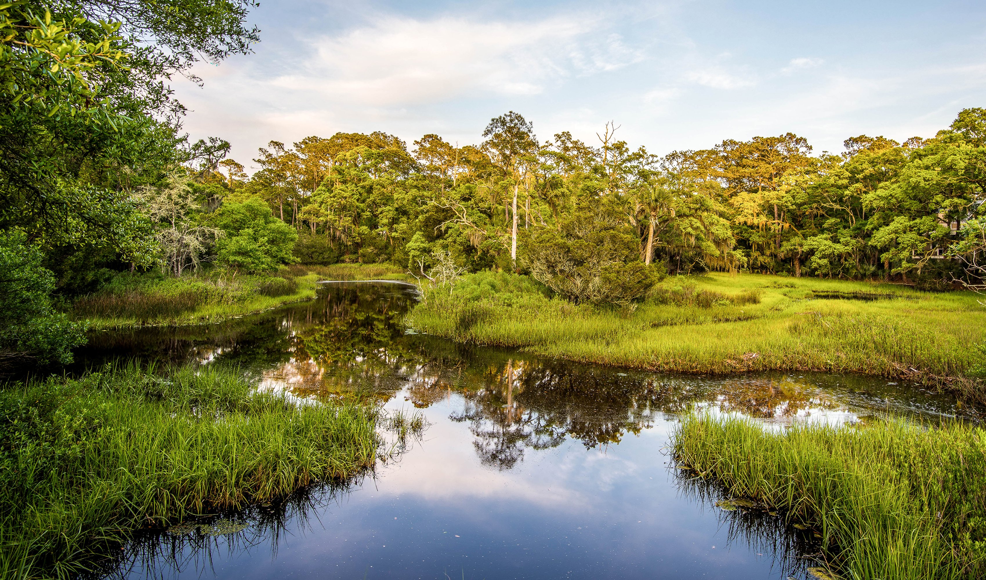 usa, Lake, Trees, Grass, Seabrook, Island, South, Carolina, Nature Wallpaper