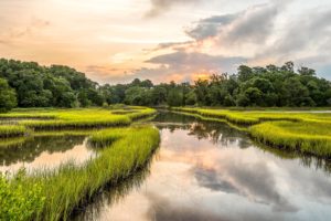 usa, Rivers, Grass, Kiawah, Island, South, Carolina, Nature