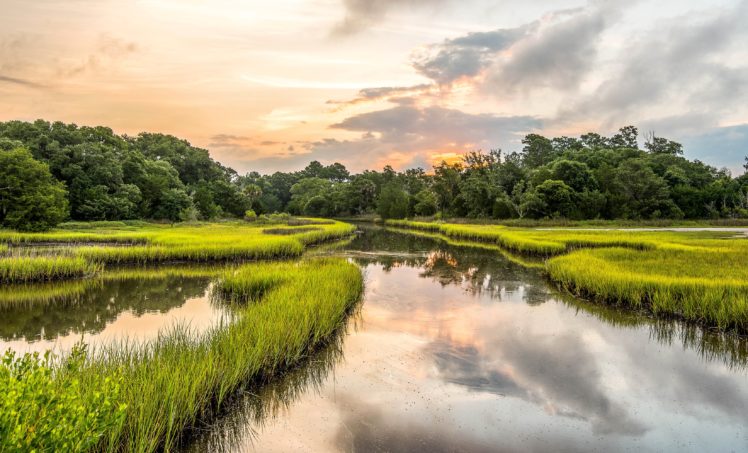 usa, Rivers, Grass, Kiawah, Island, South, Carolina, Nature HD Wallpaper Desktop Background
