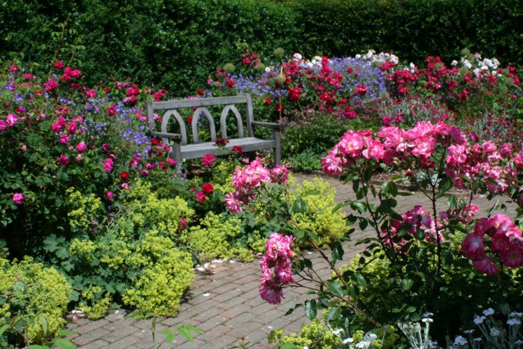 england, Gardens, Roses, Bench, Shrubs, Rosemoor, Gardens, Devon, Nature HD Wallpaper Desktop Background