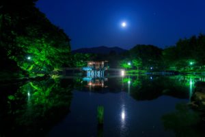 japan, Parks, Pond, Pagodas, Trees, Night, Moon, Ukimido, Nature