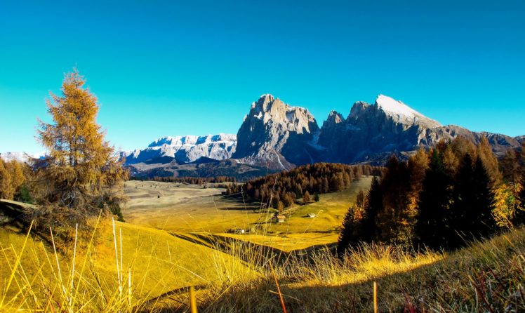 scenery, Mountains, Fields, Sky, Trees, Nature HD Wallpaper Desktop Background