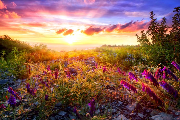 scenery, Sunrises, And, Sunsets, Sky, Dicentra, Clouds, Nature HD Wallpaper Desktop Background