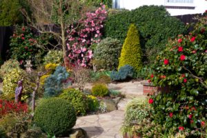 england, Gardens, Roses, Shrubs, Walsall, Garden, Nature