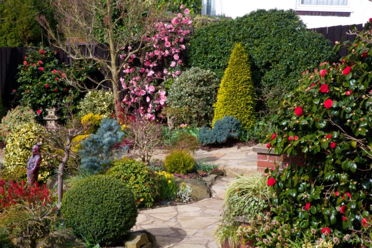 england, Gardens, Roses, Shrubs, Walsall, Garden, Nature HD Wallpaper Desktop Background