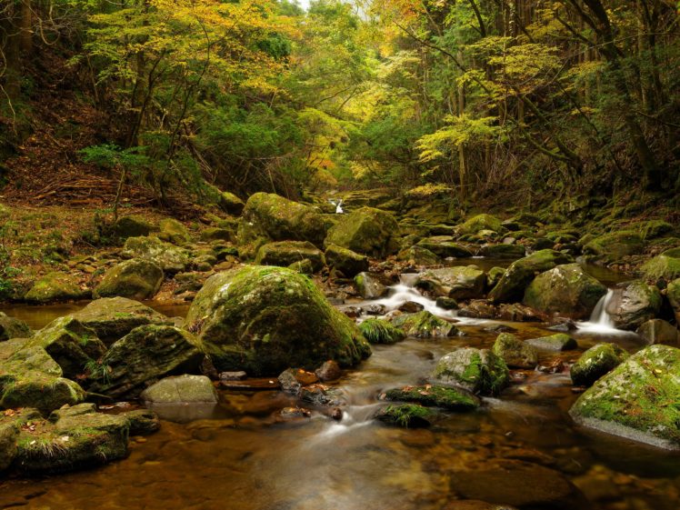 forests, Waterfalls, Stones, Moss, Nature HD Wallpaper Desktop Background
