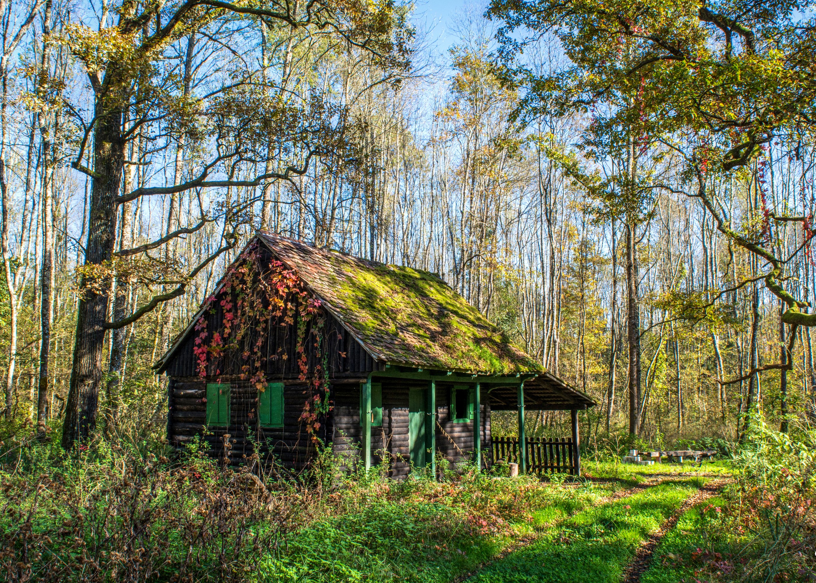 croatia, Parks, Houses, Trees, Moss, Grass, Crna, Mlaka, Zagreb, Nature Wallpaper