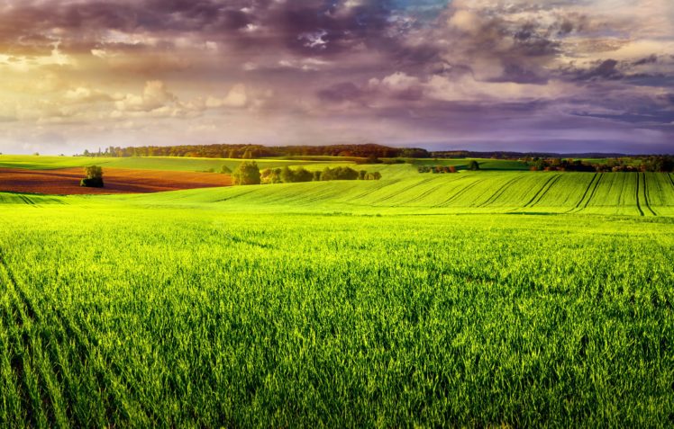 fields, Clouds, Nature HD Wallpaper Desktop Background
