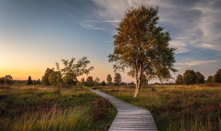 belgium, Sky, Evening, Grasslands, Trees, Wallonia, Nature HD Wallpaper Desktop Background