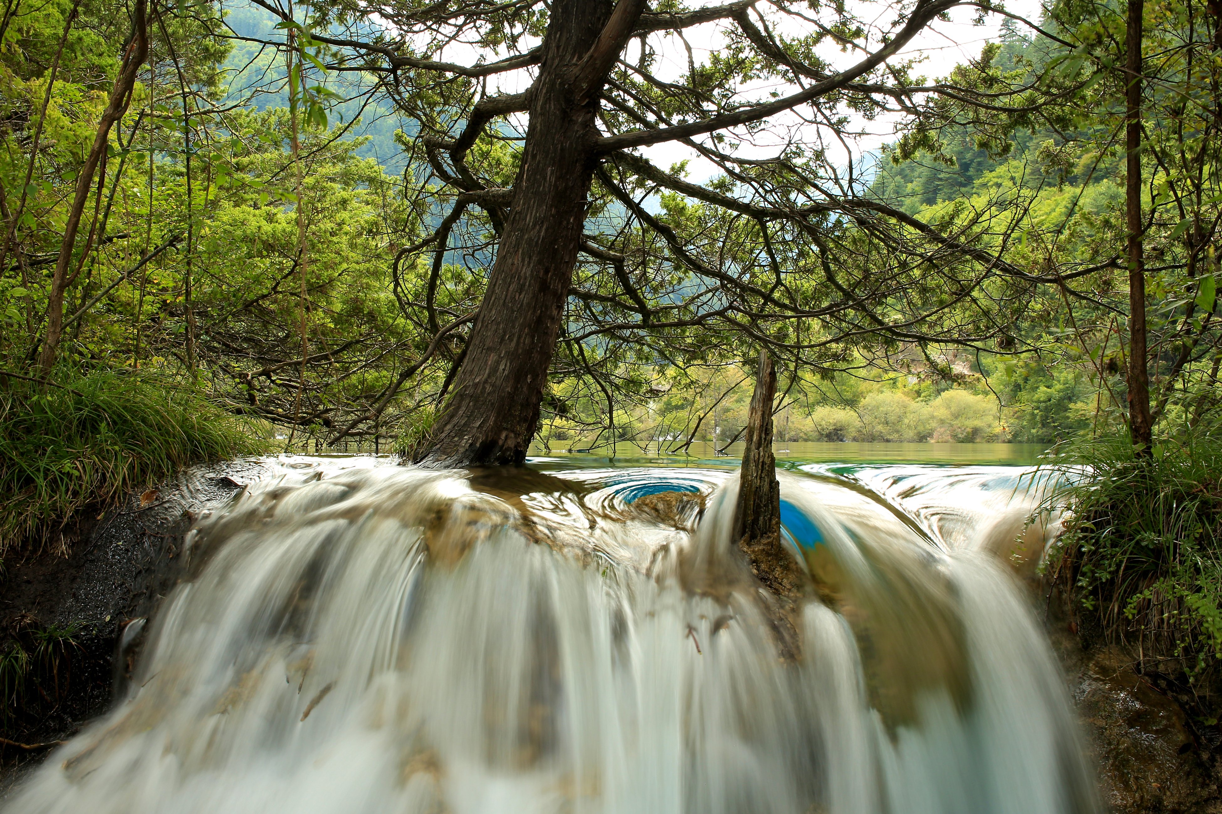china, Parks, Waterfalls, Trunk, Tree, Jiuzhaigou, National, Park, Nature Wallpaper