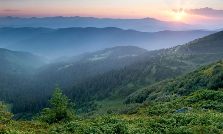 ukraine, Mountains, Sunrises, And, Sunsets, Forests, Carpathians, Nature HD Wallpaper Desktop Background