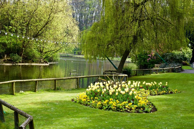 united, Kingdom, Parks, Rivers, Tulips, Trees, Lawn, Peasholm, Park, Scarborough, Yorkshire, Nature HD Wallpaper Desktop Background