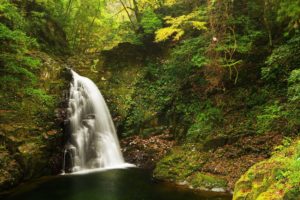 waterfalls, Moss, Crag, Nature