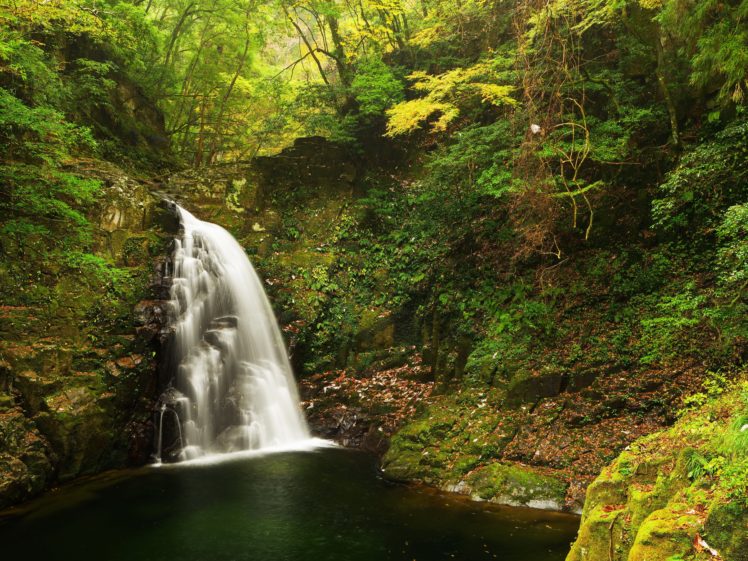 waterfalls, Moss, Crag, Nature HD Wallpaper Desktop Background