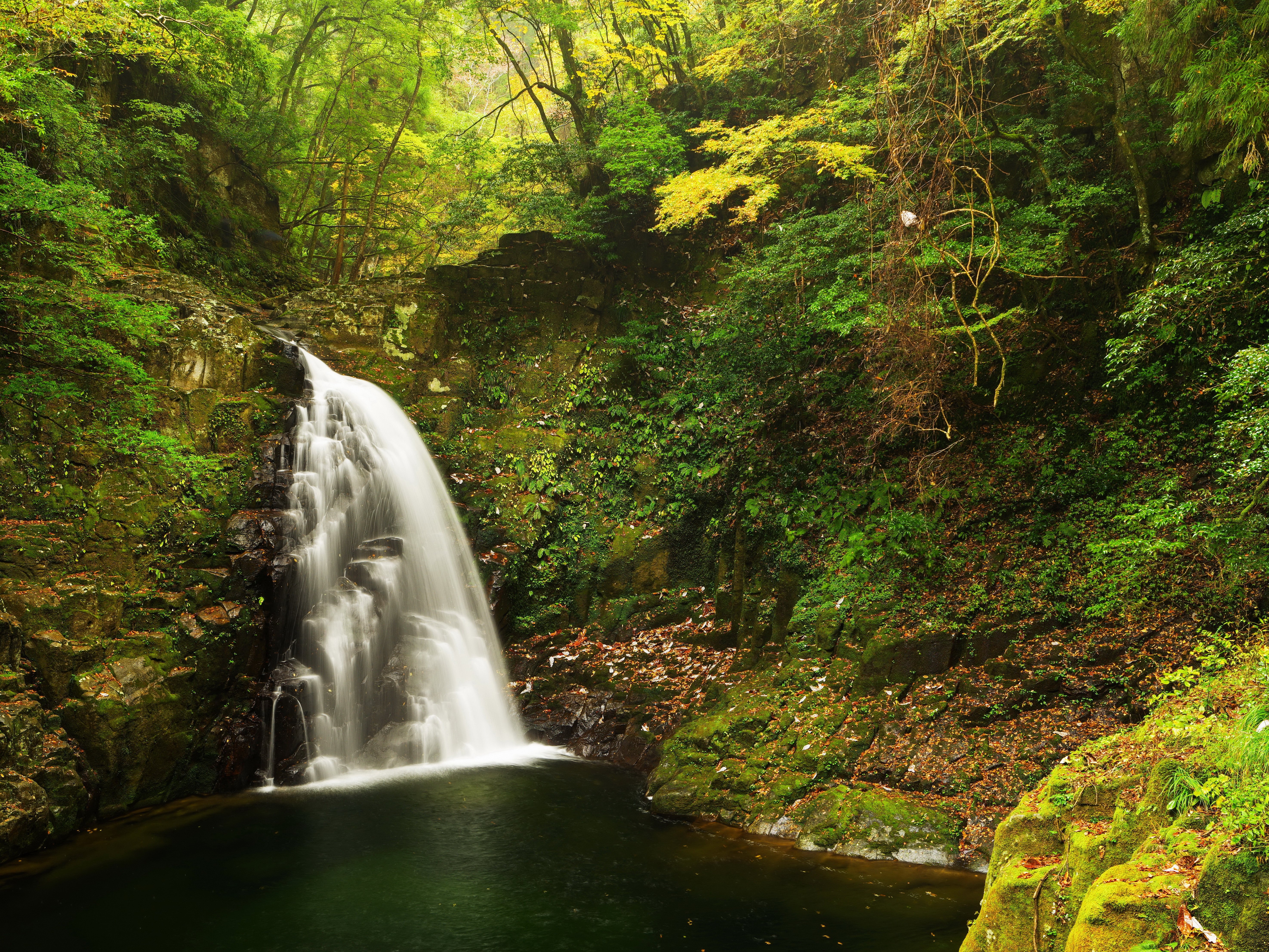 waterfalls, Moss, Crag, Nature Wallpaper