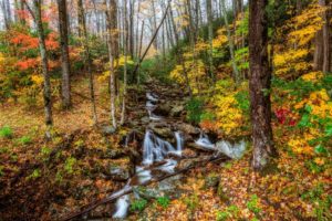 parks, Usa, Autumn, Forests, Stream, Trees, Great, Smoky, Mountains, Nature