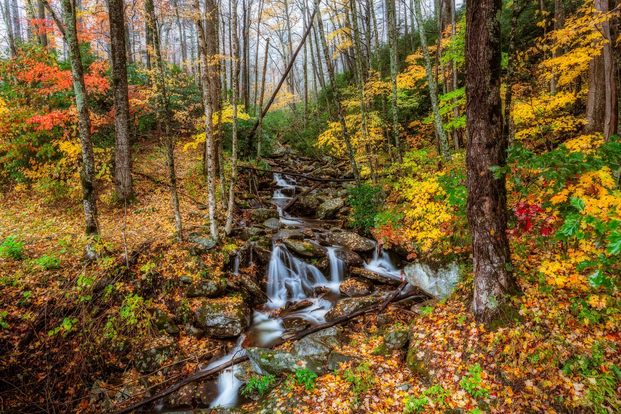 parks, Usa, Autumn, Forests, Stream, Trees, Great, Smoky, Mountains, Nature Wallpaper