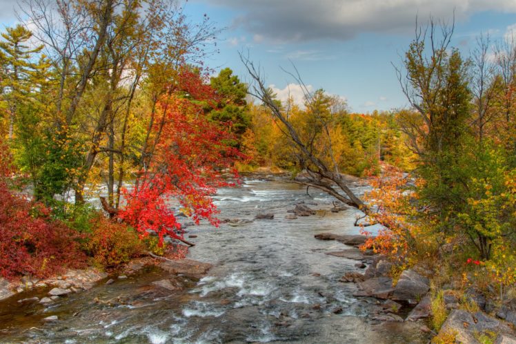 rivers, Autumn, Nature HD Wallpaper Desktop Background