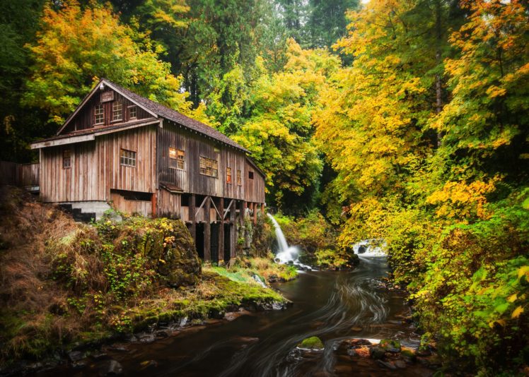 rivers, Usa, Autumn, Mill, Washington, Cedar, Creek, Grist, Mill, Woodland, Nature HD Wallpaper Desktop Background