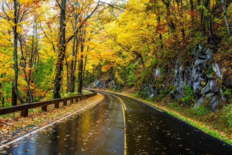 roads, Autumn, Parks, Usa, Trees, Great, Smoky, Mountains, Nature HD Wallpaper Desktop Background