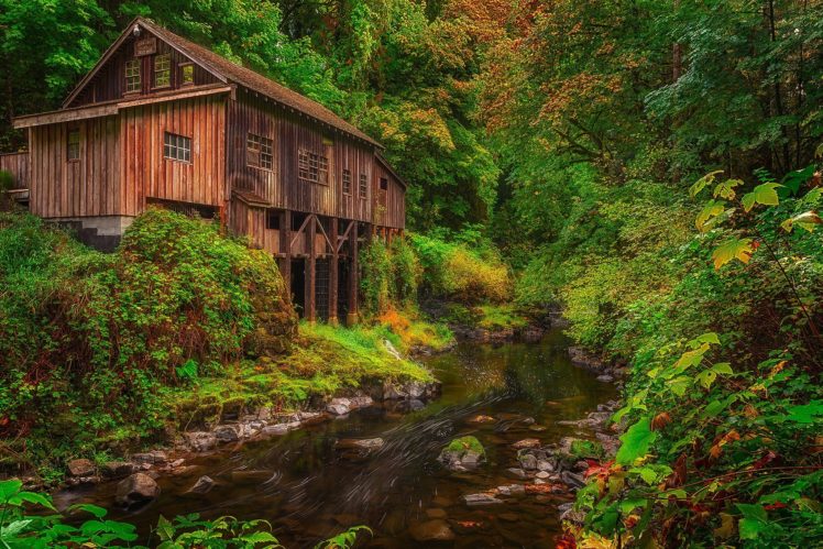 usa, Autumn, Mill, Washington, Cedar, Creek, Grist, Mill, Woodland, Nature HD Wallpaper Desktop Background