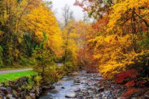 usa, Autumn, Parks, Forests, Stream, Great, Smoky, Mountains, Nature