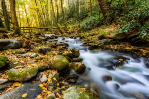 usa, Parks, Stones, Forests, Autumn, Stream, Moss, Great, Smoky, Mountains, Nature